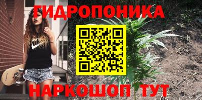 spice Сланцы